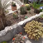 לינה וארוחת בוקר Troisi