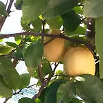 Troisi 3* Racalmuto