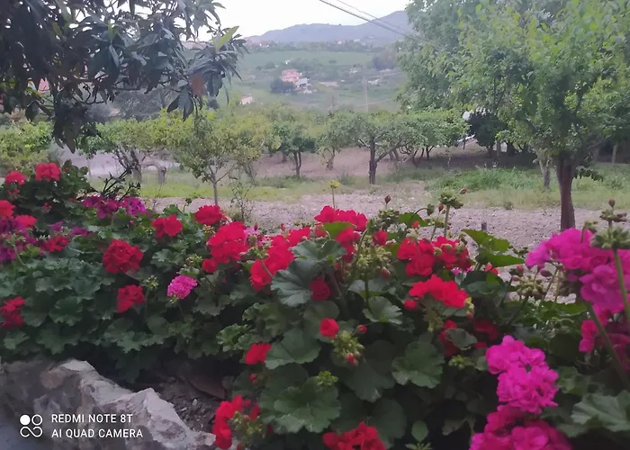 Troisi Oda ve Kahvaltı