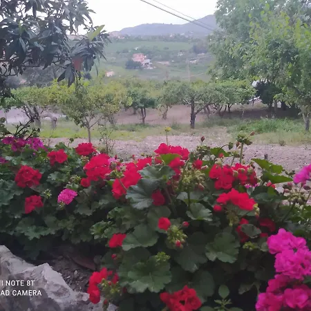 Troisi Bed & Breakfast