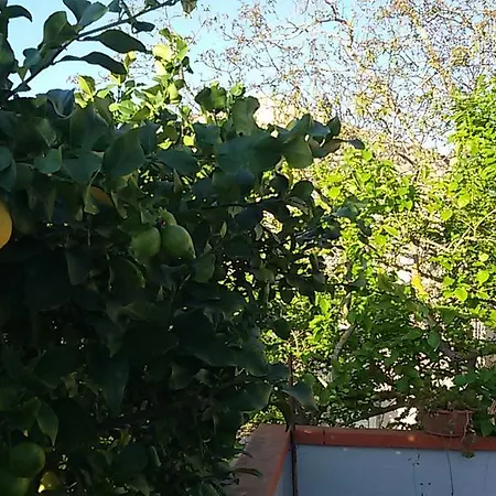 Troisi 3*