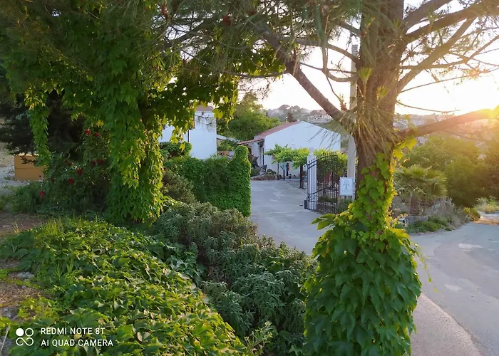 Bed and breakfast Troisi 3*