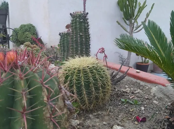לינה וארוחת בוקר Troisi 3*