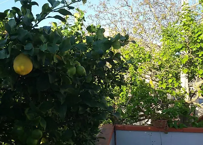 Troisi 3*